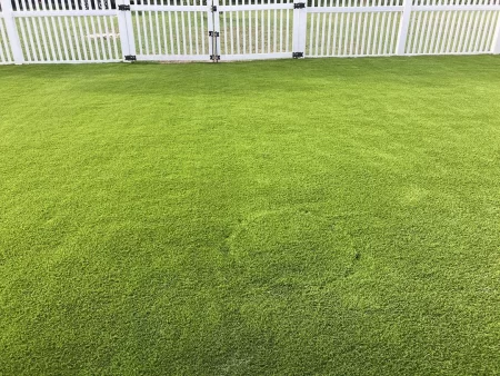 unusual issues you may need turf repair tips for