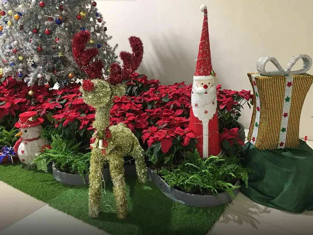 Creative Holiday Decor Ideas